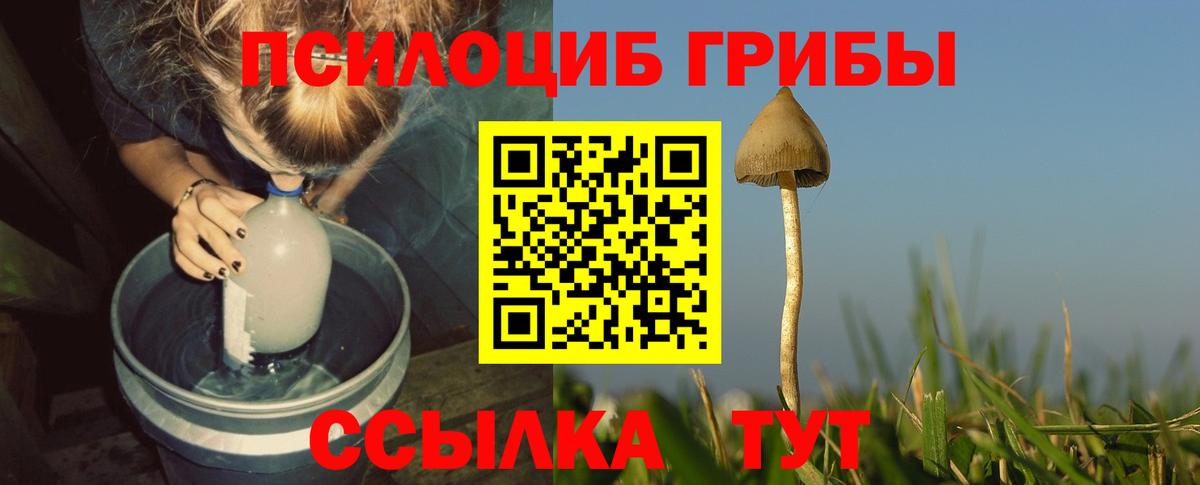 Псилоцибиновые грибы мухоморы Котлас