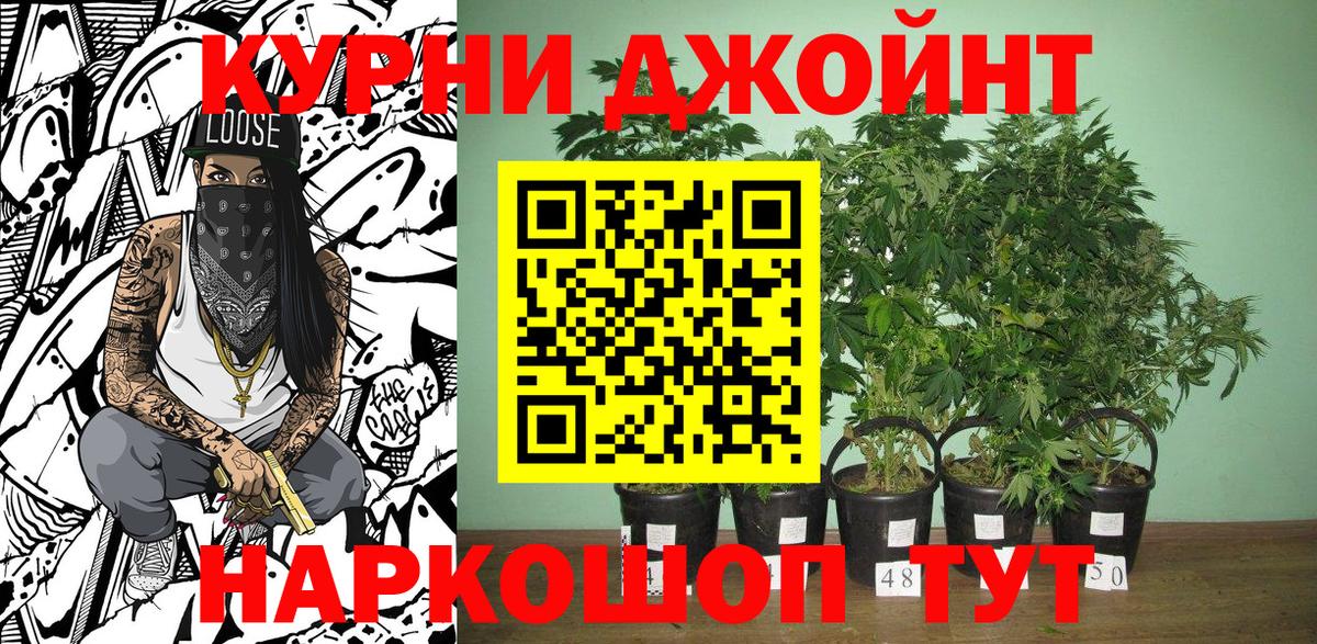 Шишки марихуана MAZAR  Бошки марихуана сатива  Каннабис план  Котлас  Вход с VPN 